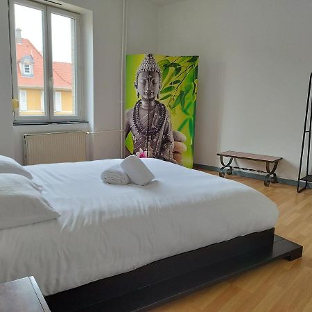 Le Thannois - Appartement 2 Chambres, Salon, Cuisine Equipee, Parking Et Wifi Gratuit Mulhouse Buitenkant foto