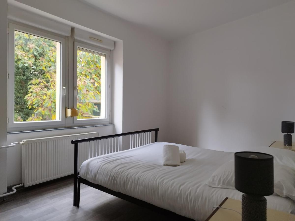 Le Thannois - Appartement 2 Chambres, Salon, Cuisine Equipee, Parking Et Wifi Gratuit Mulhouse Buitenkant foto