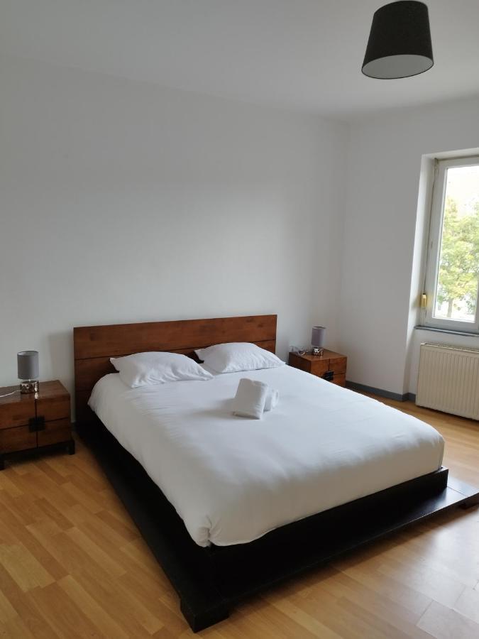 Le Thannois - Appartement 2 Chambres, Salon, Cuisine Equipee, Parking Et Wifi Gratuit Mulhouse Buitenkant foto