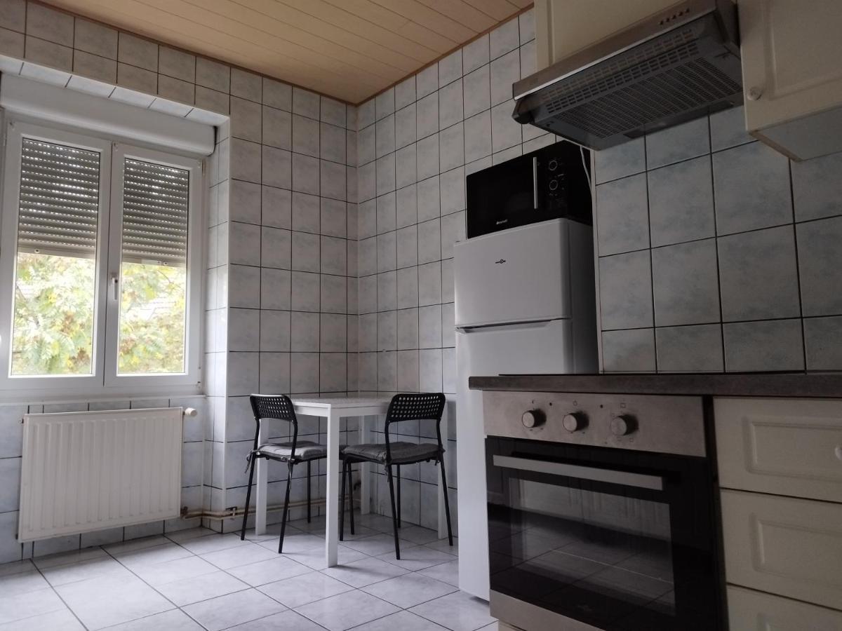 Le Thannois - Appartement 2 Chambres, Salon, Cuisine Equipee, Parking Et Wifi Gratuit Mulhouse Buitenkant foto