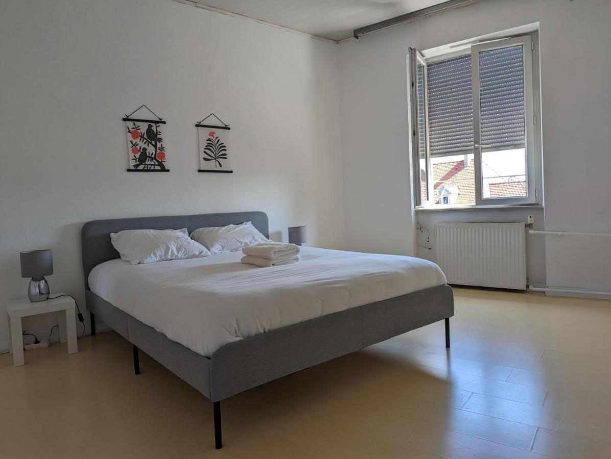 Le Thannois - Appartement 2 Chambres, Salon, Cuisine Equipee, Parking Et Wifi Gratuit Mulhouse Buitenkant foto